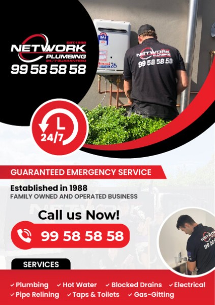 Plumbing Flyer